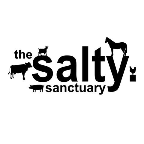 the salty. sanctuary
