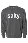 salty. pigment crewneck